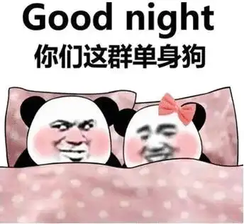 晚安动图表情包

