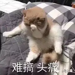 夜光剧本2.0老公又被拍和女经纪人深夜同房3小时,洪欣这次还要忍吗
