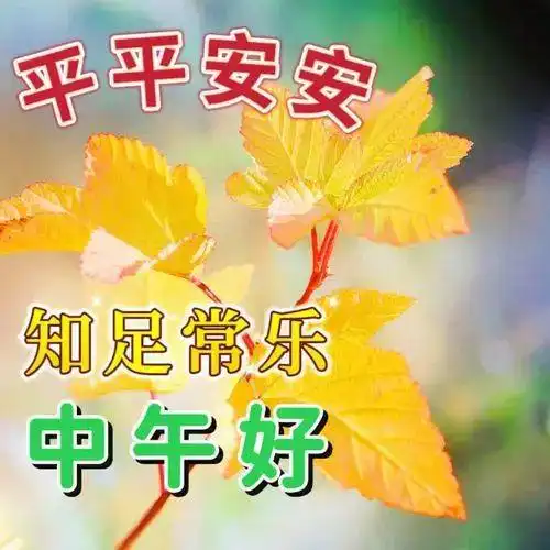 中午好,午安温馨短句子,让夏天的风景,送你鸟语花香让我的问候,送你幸福安康快乐清晨祝福网易订阅
