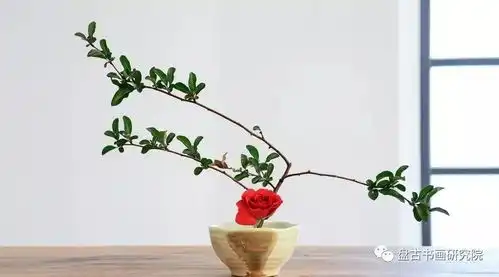 胡文馨花道网课分享
