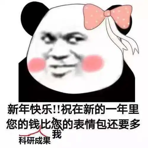 2019年度总结全实验室只有我没发过文章了......
