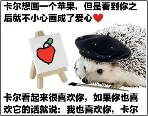 这只爱发黄图的刺猬,是怎么变成表情包顶流的
