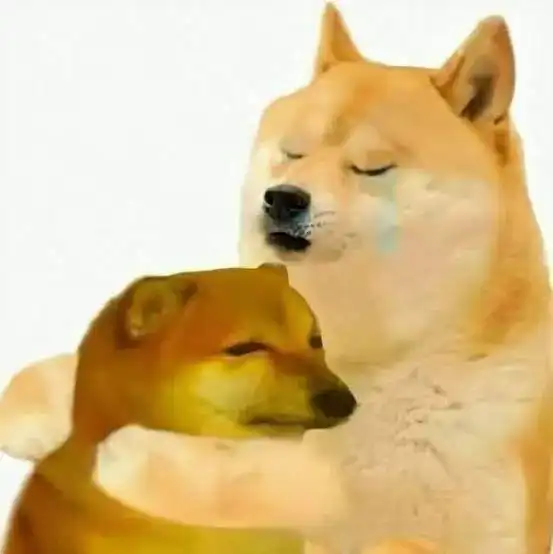 爆火全球的表情包doge原型去世,从险些被安乐死,到狗界网红顶流的传奇柴犬
