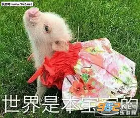 你真是我的掌上明猪表情包图片猪自杀表情包搞笑带字图片下载乐游网游戏下载
