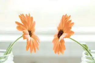 遇挫不折,遇悲不伤
