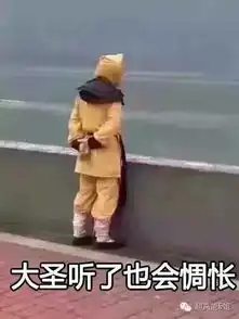 e句话头条王菲演唱会在线直播人数超春晚,还捕获一只撩妈高手
