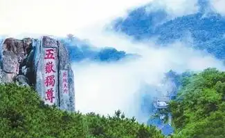 百年财源大街,泰安人心中真正的市中心
